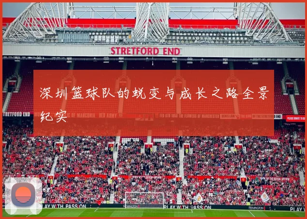 深圳篮球队的蜕变与成长之路全景纪实