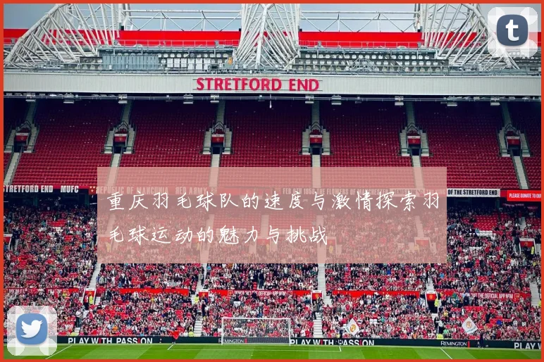 重庆羽毛球队的速度与激情探索羽毛球运动的魅力与挑战